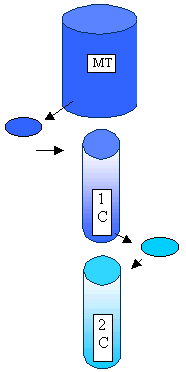 process of sequential dilution