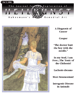 Volume 1 Journal Cover